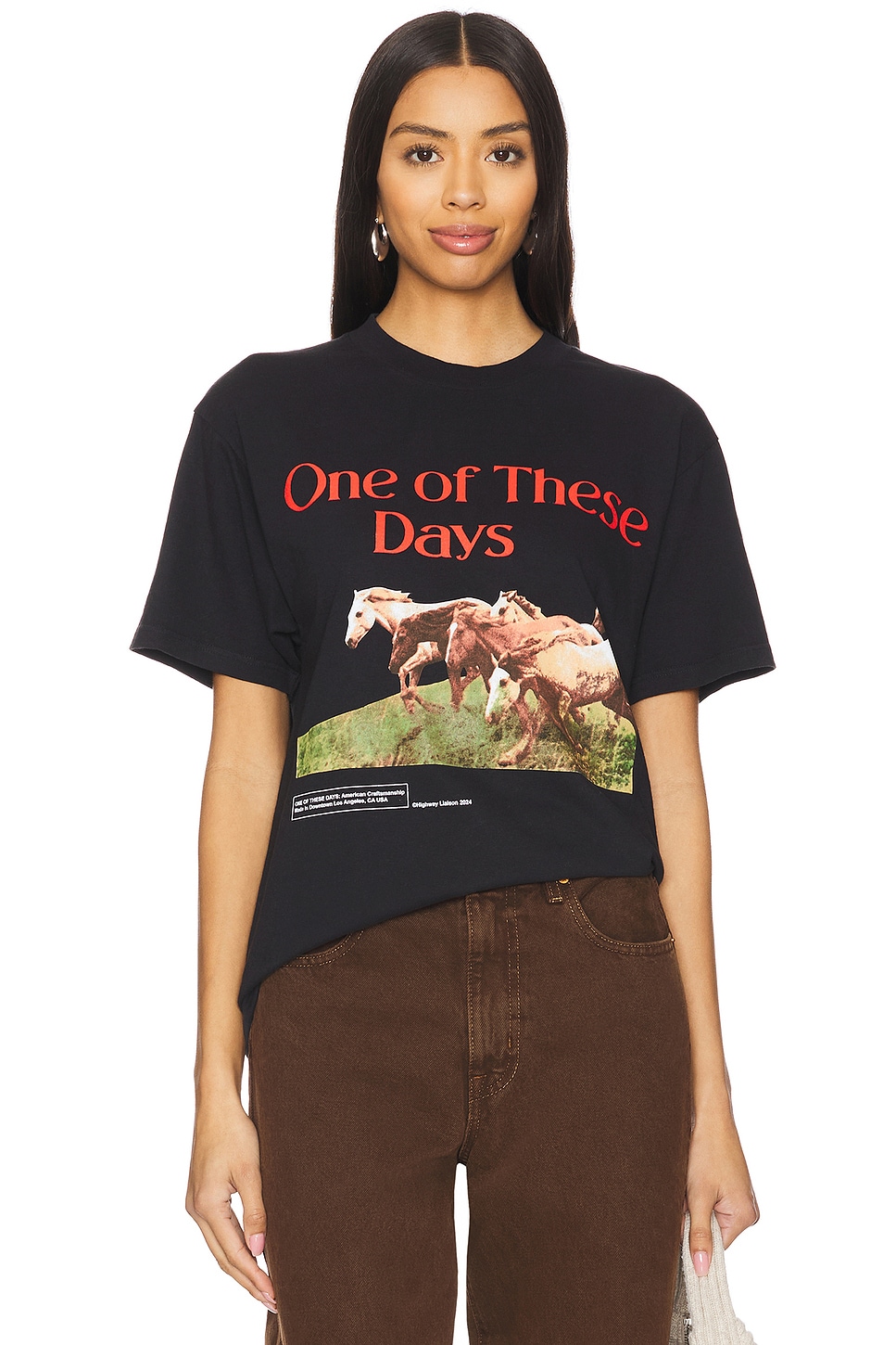 ONE OF THESE DAYS Wild Horses T-Shirt